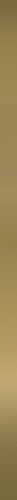 Paradyz Classica Uniwersalna Listwa Metalowa Oro Profil 2x60