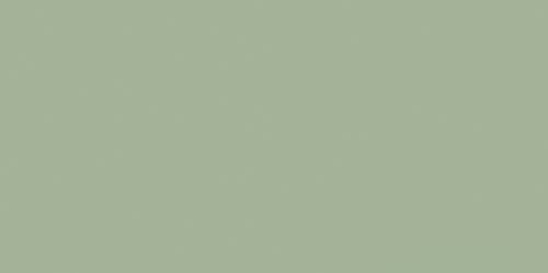 Paradyz Feelings Geen 29,8x59,8 matt csempe