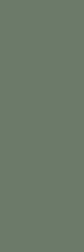 Paradyz Nightwish Green 25x75 Matt csempe